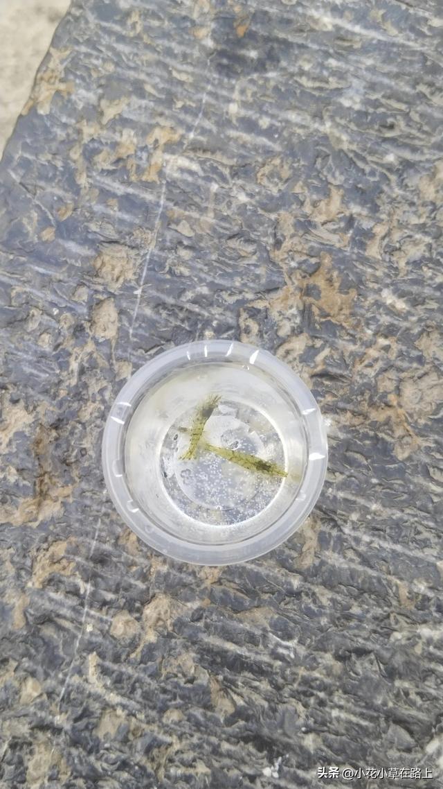 暑假二