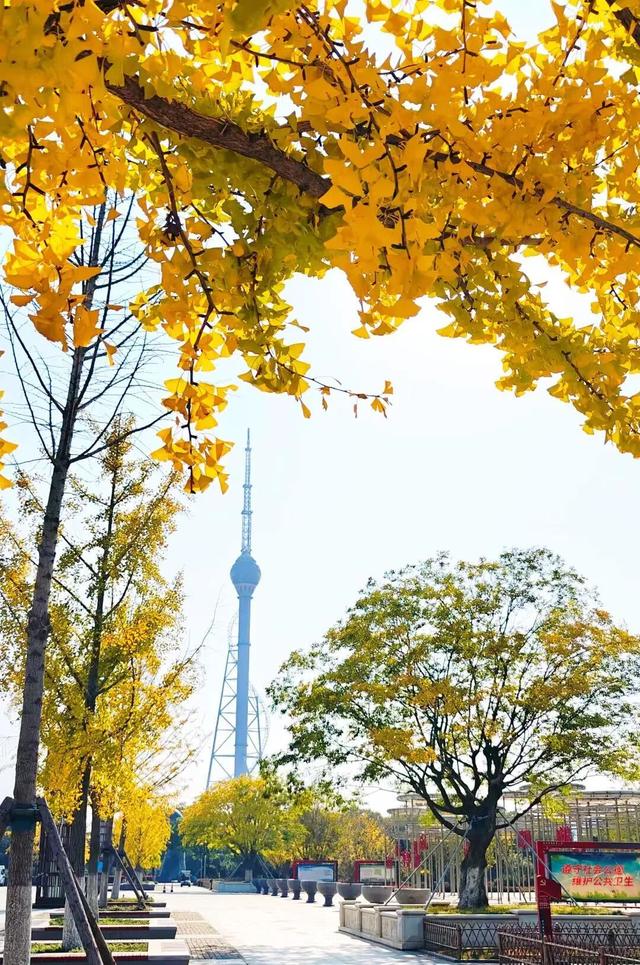 此刻的临沂，把清欢藏进风景里