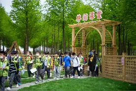 宝山罗泾：倾力打造“农文旅”三产融合长江口“泾”彩田园小镇图片