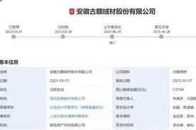 又一安徽企业冲刺上市！图片