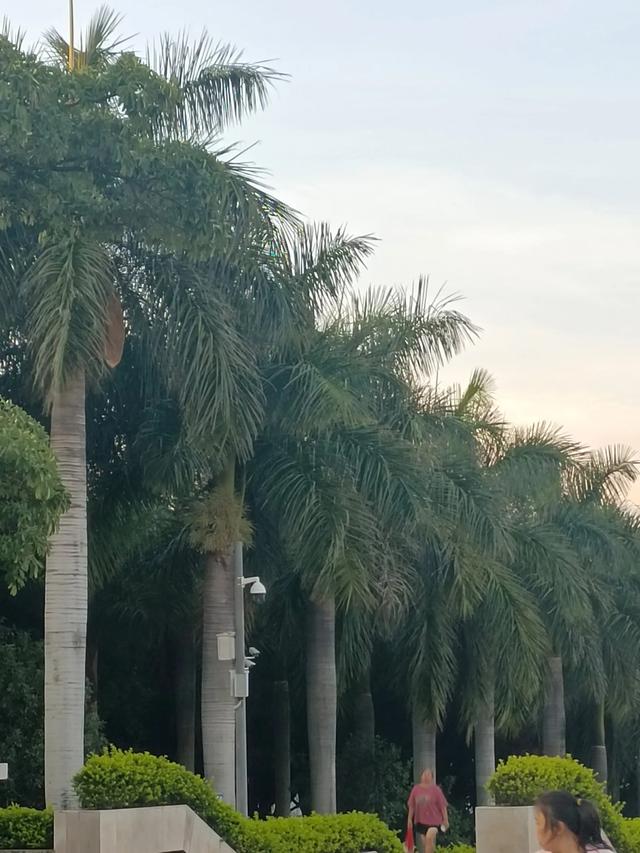 滇游行纪之三:蒙自！蒙自！