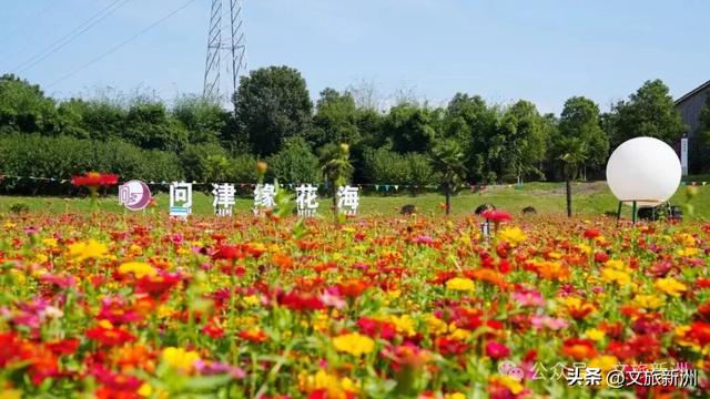 收藏秋日宝藏学玩地图!趣游新洲,为知识充“秋”电