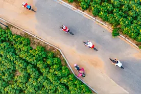 绝美！日照这片花海，盛情绽放！图片