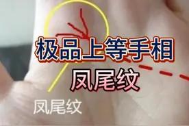 俗话说：“手有凤尾纹，富贵又清闲”，啥是凤尾纹？你手上有吗？图片