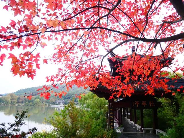 从1公里到33公里，苏州15座山全强度登山攻略！