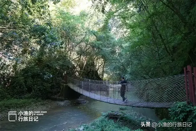 不用爬山！陕南原生态峡谷，瀑布吊桥、一步一景，景美休闲人不累