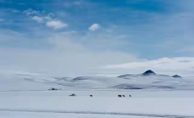 “冷不冷，看十月初一”，今日十月初一，今年冬天会十分寒冷吗？