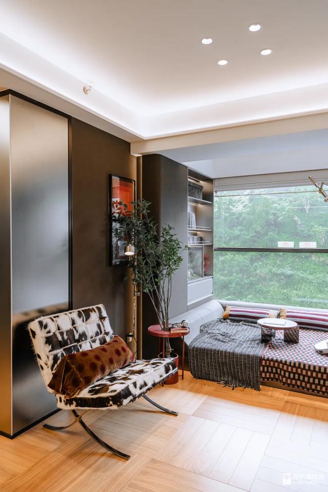 深圳的未来,为什么看前海?