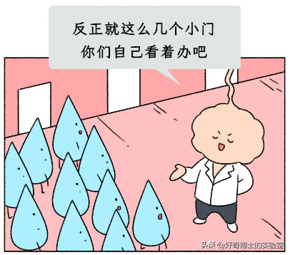 一热就出汗的人和热死不出汗的人，哪种更健康？
