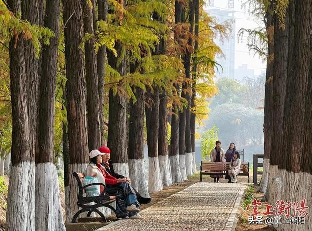 文明拂雁城，处处好风光