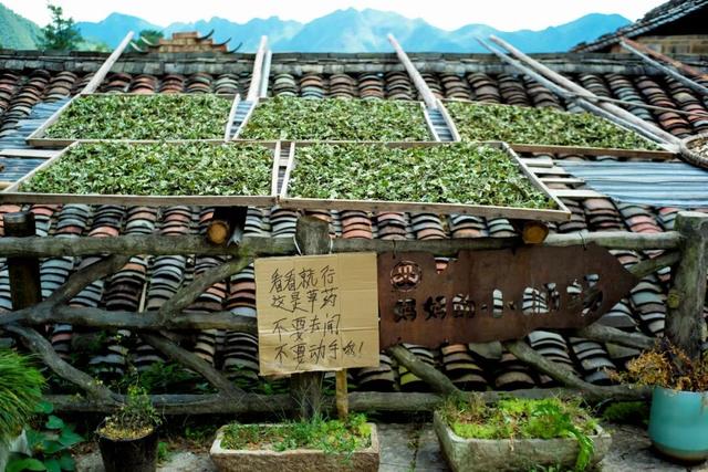 逛古村，喝咖啡，高端的度假就是这么朴实无华