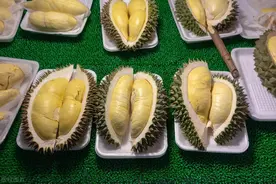 榴莲爱好者必读！这些情况下请谨慎食用榴莲图片