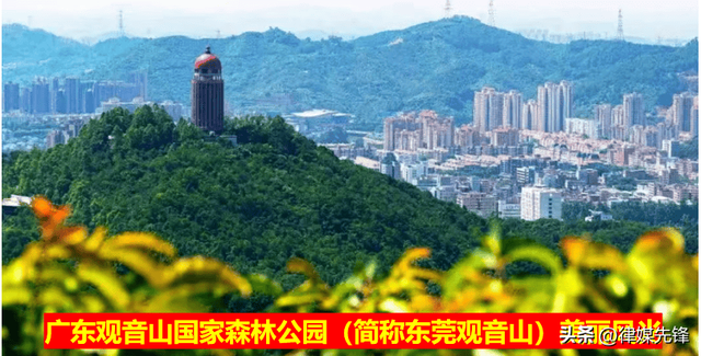 东莞观音山26周岁芳龄正值风华正茂， 生辰庆典开启崭新征程