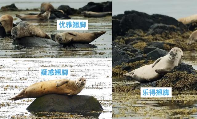 带全公司在冰岛玩10天有多爽?同事:人就不应该上班!