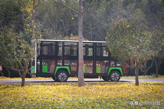 【图说岳乡】汤阴汤河国家湿地公园：初冬染彩 秋韵未歇