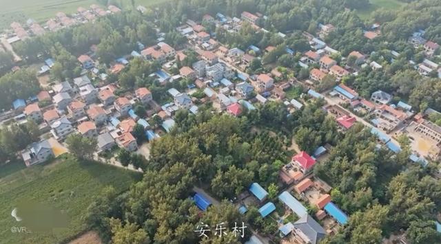 魅力曹县楼庄镇