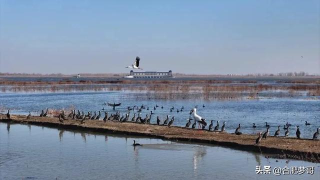 合肥都市圈“后花园”：定远县蒋集！