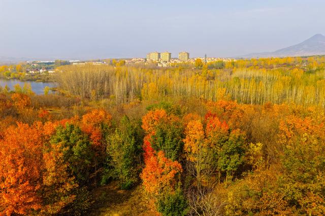 泗水县万紫千红旅游区：静谧而斑斓的生态画卷
