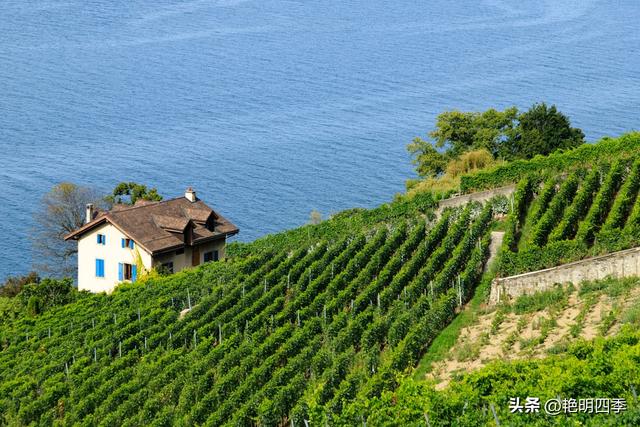 欧游杂记（2）‖ 日内瓦湖畔的美丽：从日内瓦到蒙特勒