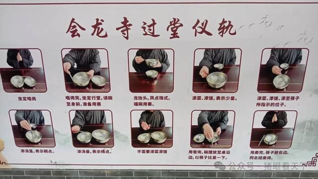 一次浦东乡村的深度二日游