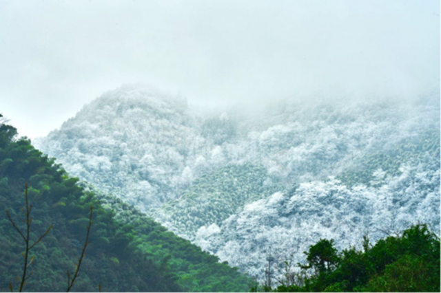 退休旅游新方式走红，幸福万家旅行社以定制走亲式服务点亮银发旅途