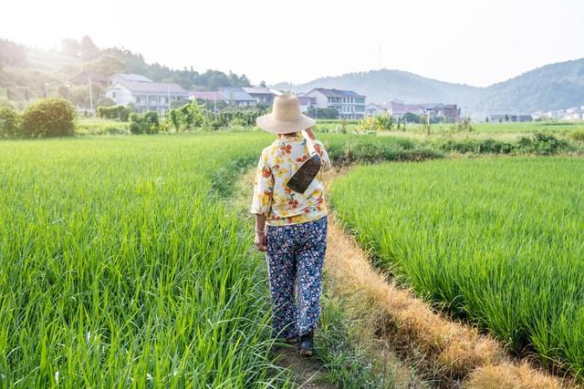 聊聊农村养老金	，这些你知道吗？