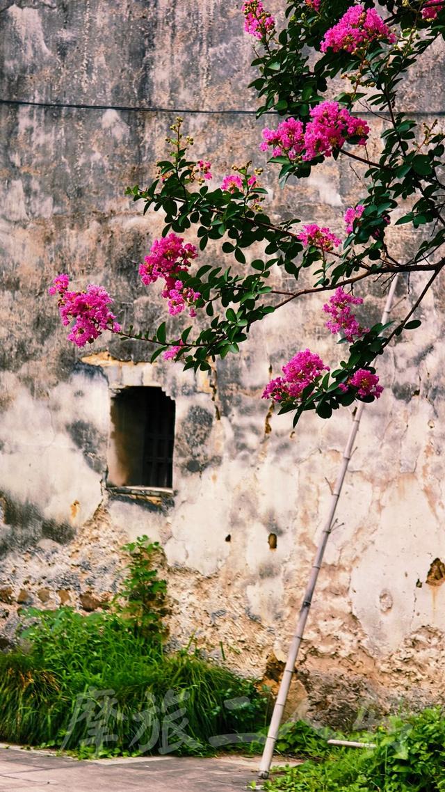 皖浙摩旅二人转——桐庐深澳村篇（下）