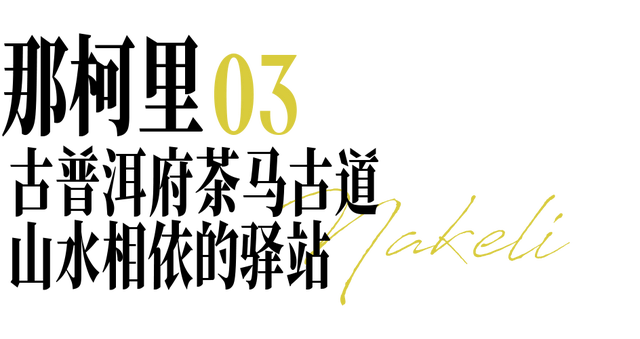 云南上榜全球最佳目的地！跟着《纽约时报》，重新走一遍茶马古道