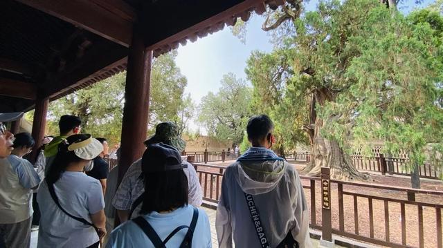 白水仓颉庙景区游客爆棚，旅游热度持续上升！