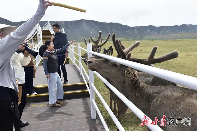 【联动宣传】张掖肃南：文旅产业“多点开花”