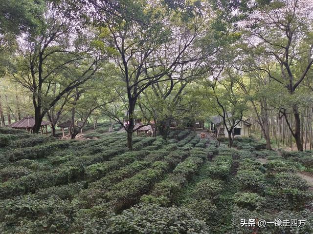 苏州虎丘打造夜游庙会迎双节，闭园时间延长到晚上九点