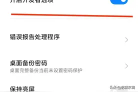 再具体谈谈手机的开发者选项，你们都是怎么设置的呢？图片
