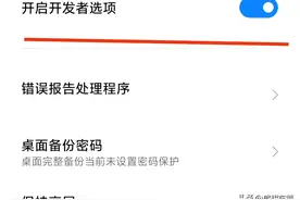 再具体谈谈手机的开发者选项，你们都是怎么设置的呢？图片
