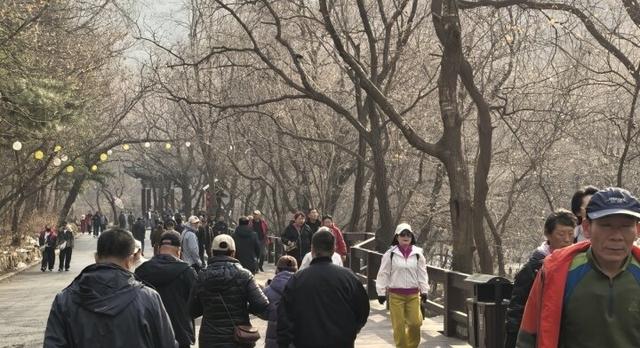 天好景美福利足！千山景区人气爆棚