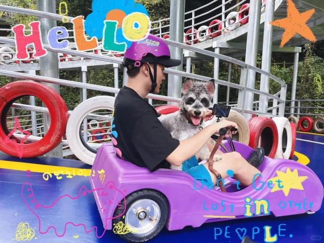 在韶关，带毛孩子去哪“浪”？这份宠物友好地图请收藏，撒欢不踩雷~