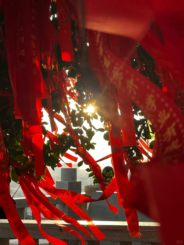 我是上海大学生，刚游完诸城，憋了 6 个疑问不吐不快！