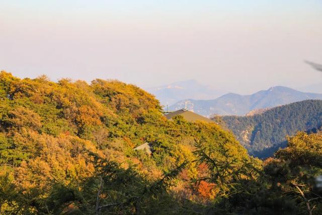别再问周末去哪玩了！来蒙山承包你的快乐时光！