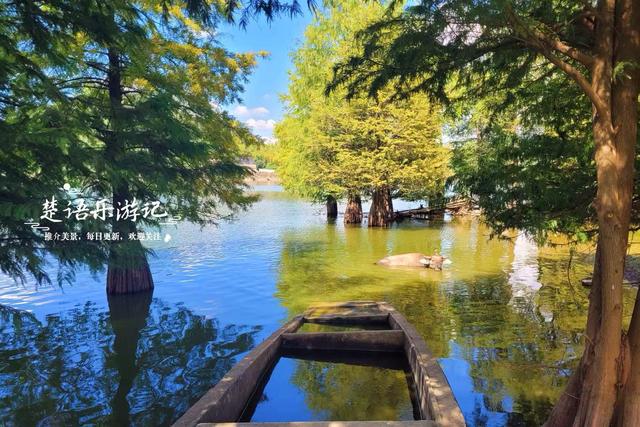 浙江绍兴的新晋网红打卡地，因月牙弯而走红，湖杉鹭影美不胜收