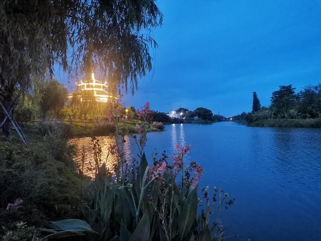 家乡美景花博园
