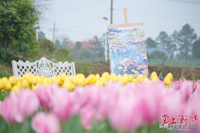 春日顶流！在衡阳“郁”见最美的春天