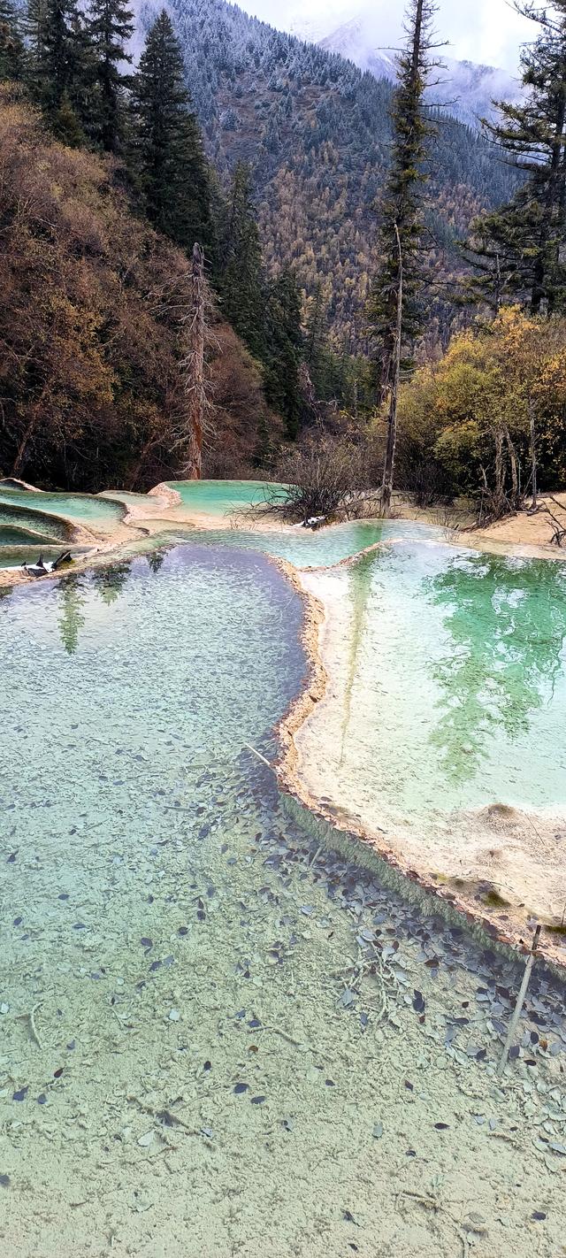 神仙池（一）竖幅