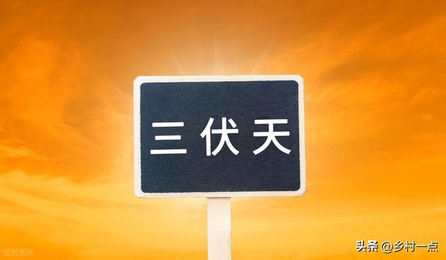 “伏天热不热，就看头伏”，明日头伏，今年伏天会热到哭？早了解