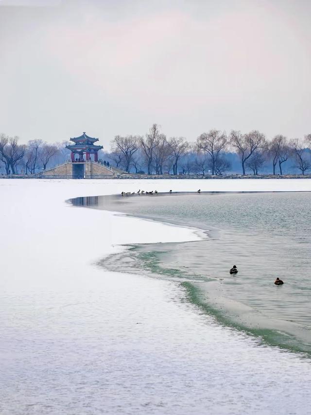 雪迎2026：颐和园又见素裹银装，半城惊鸿