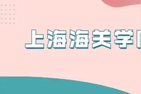 上海海关学院近几年录取分数线（含2022-2024历年最低分）图片