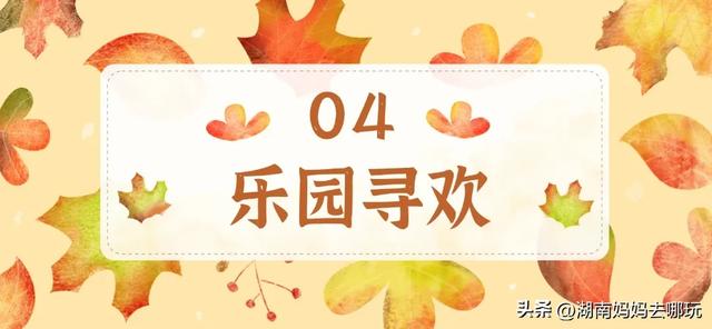 藏不住了！望城这片小众银杏秘境已到最佳观赏期，还能露营、骑行、摘果子