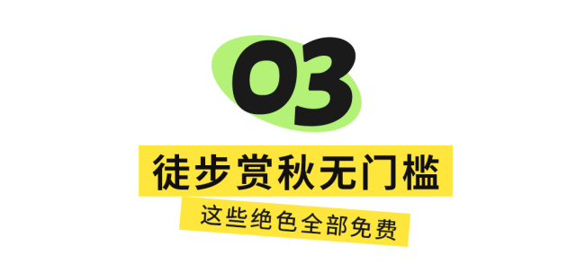 红了！成都周边18个顶级赏秋地更新！最快30min刹拢，最佳观赏期已到！速冲！