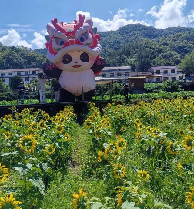躲进秦岭古村，来佛坪过两天山野慢生活！
