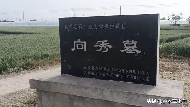 焦作一村庄因坟冢而得名，特产更是远近闻名