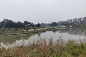 “女乘客高速路下车后溺亡”案一审宣判：的哥无违约行为，家属索赔近80万被驳回图片