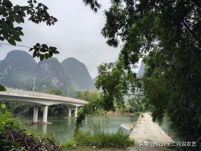 武阳恋歌，罗城新八景之一